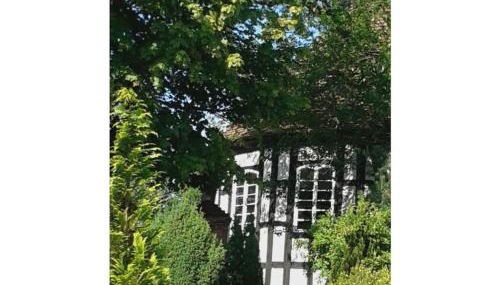 Rosi Comfortable holiday residence - Photo 1, Other