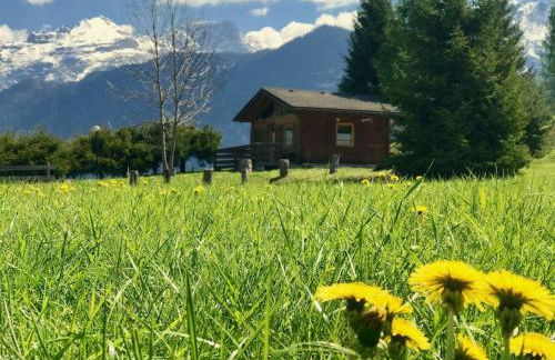 Relax in Baita di montagna! - Foto 8