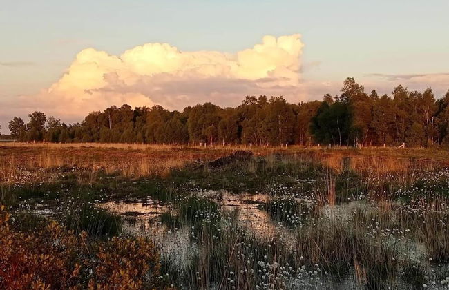 Holiday Home in Geesteren With Roof Terrace,garden Furniture - Photo 80