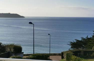 TY KERLUZ - Vue Mer et Plage à 80m - Photo 52