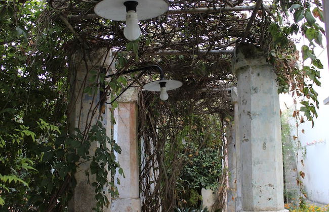 Masseria Pagani - Photo 78