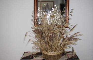 Casa Tia Emilia - Foto 26