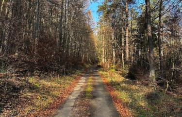 Waldparadies mit allem was Sie brauchen - Photo 19