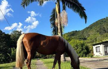 Casa do Bem Estar Picada Café - Foto 34