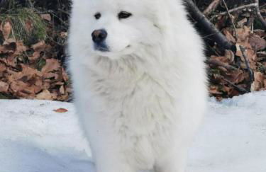 Al Casello - Foto 32