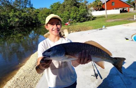 Castaway on Treasure Island NPR - Foto 18