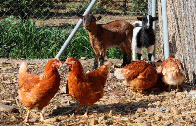 Casa Rural Ecuestre - Foto 69