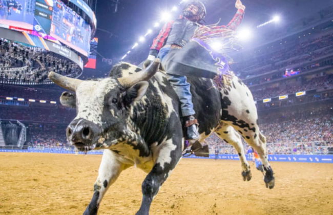 The Reside - Foto 15