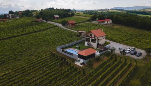 Vineyard Vila 01 by GREEN Croatia - Foto 2