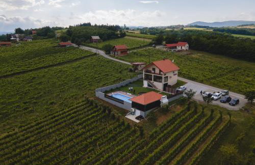 Vineyard Vila 01 by GREEN Croatia - Photo 2