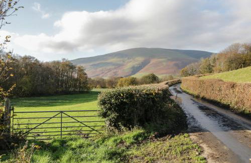 Castle Terrace - Foto 22