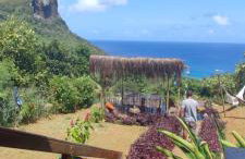 Vida de Ilha - Foto 1