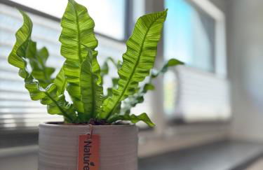 Fichtelcube de - Foto 38