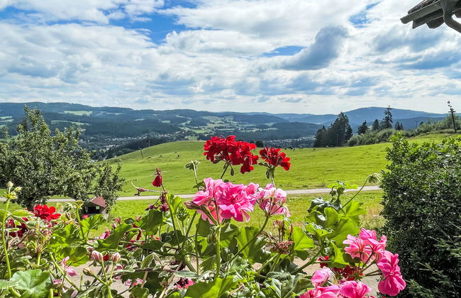 Mühlenmichelshäusle - Foto 7