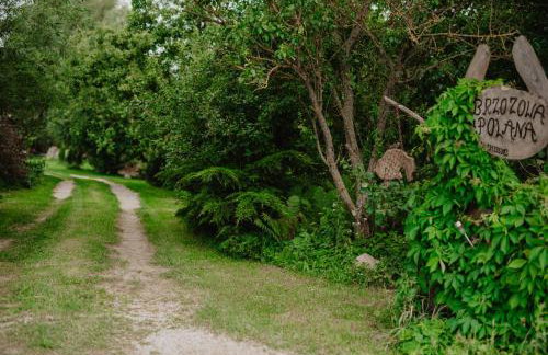 Brzozowa Polana - Foto 58
