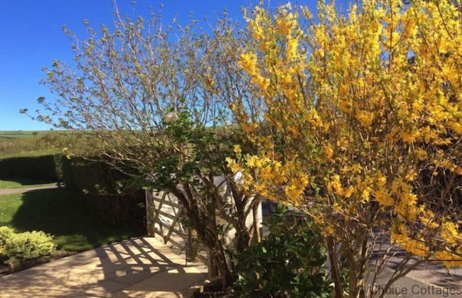 Croyde Moorlea 2 Bedrooms - Photo 21