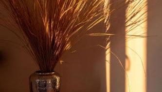 Panoramaapartment am Ochsenkopf - Foto 5