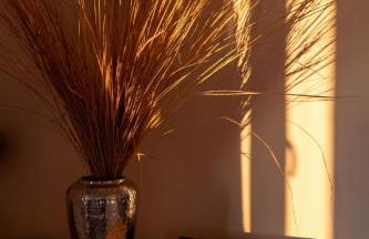 Panoramaapartment am Ochsenkopf - Foto 5