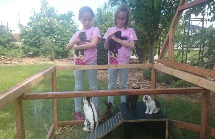 Landhof Kling - Foto 28