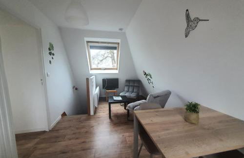 Domaine de Manehouarn - Foto 8