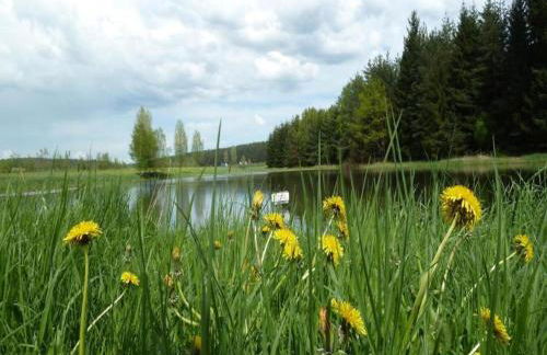 Charming Forest Escape for Two - Foto 50