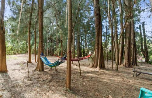 Sleeps 28, Events, Salt Pool/Spa, Outdoor Kitchen - Foto 27