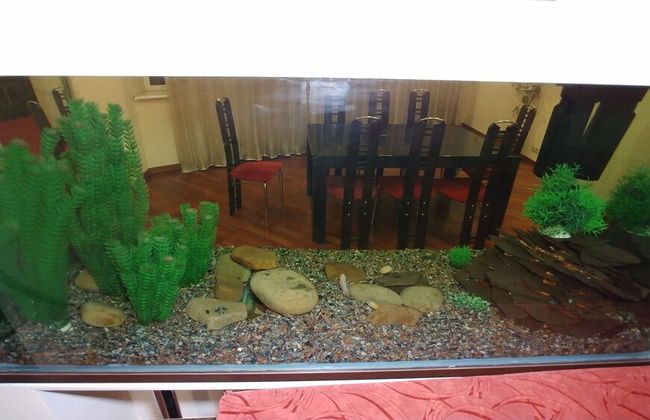 Kiev Rent Apartments - Foto 18