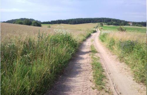 Fajne Miejsce - Foto 24