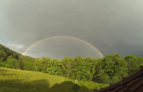 Halinówka - Twoje Miejsce w Górach Sowich - Foto 30