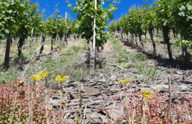 Ferienwohnung bei Blesers - Foto 29