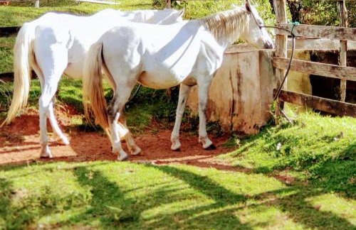 Pousada Suçuarana - Photo 22