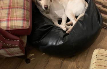 Hillgarth Holiday House - Foto 33