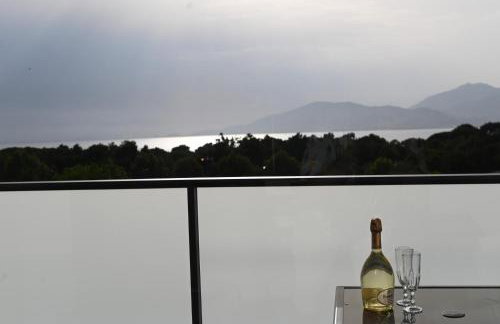 Résidence Porticcio Vacations Vue Mer Piscine & Jacuzzi - Foto 52