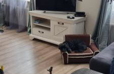 The Cottages - Pet Friendly - Photo 7