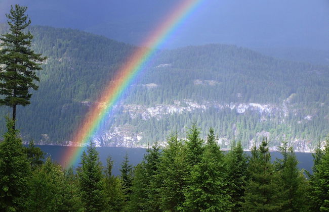 WING CREEK RESORT - Foto 28