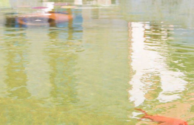 Casa Codesal Apartamentos - Foto 8