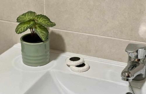 Almamater salamanca - Foto 26