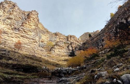 joli studio vue montagne - Photo 16