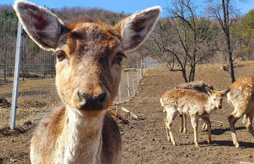 Ośrodek Wczasów Zdrowotnych Rudawka Rymanowska - Foto 38