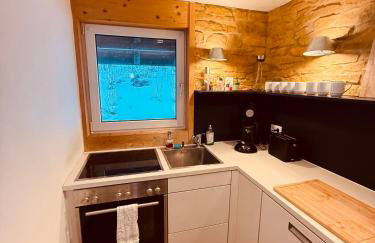 Mitten auf dem Feldberg Panorama Apartment Bergglück - Foto 12