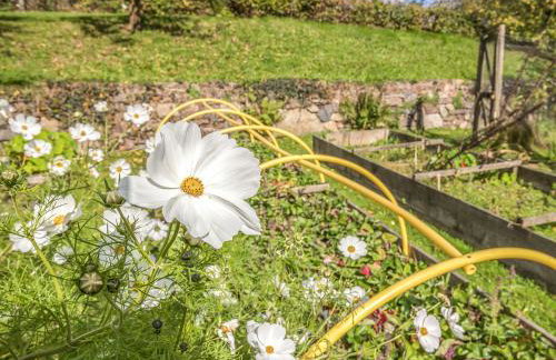 Wisteria Lodge - Cottage - Foto 14