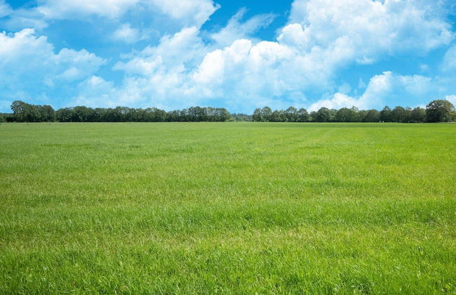 Pleasing Chalet in Stegeren near Forest - Foto 38