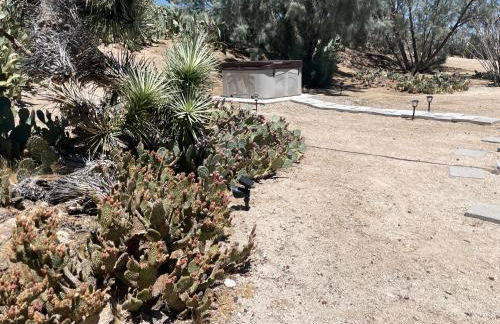 Mojave Desert Pied-à-terre - Foto 17