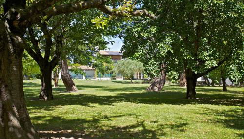 The Willow Tree - Photo 5, Garden view