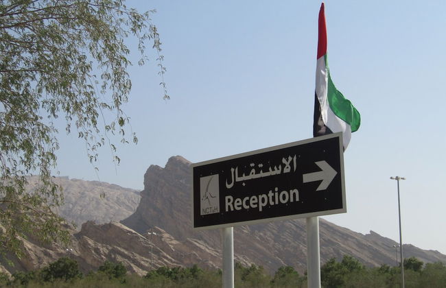 Green Mubazzarah Chalets - Photo 36