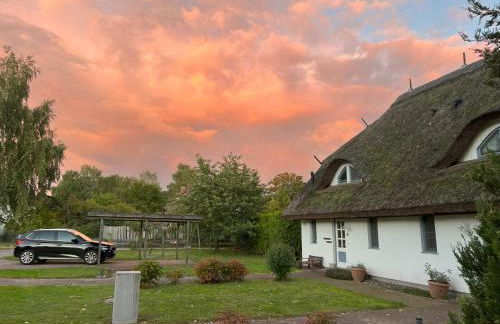 Ferienhaus Boddenglück - Photo 12