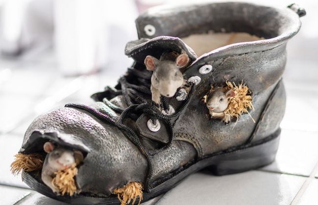 Schwarzenegg - Foto 18