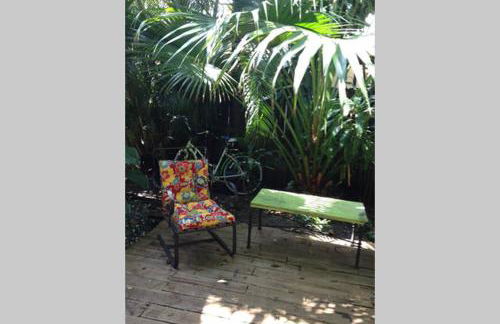 The Wild Rose - Foto 23