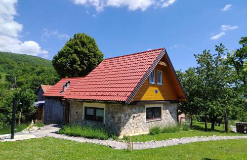 Kuća za odmor Dangubica - Foto 1