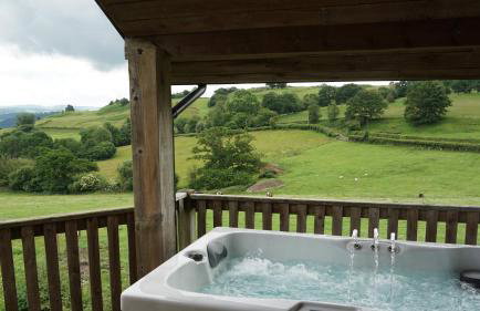 Wheat Cottage - 5* Cyfie Farm with private covered hot tub - Foto 1